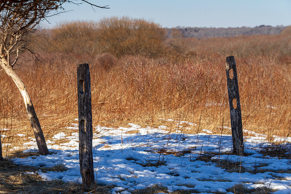 Fence Posts